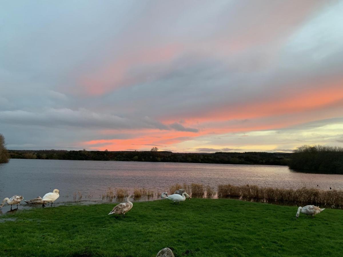Lochside Loft - Self Catering Apartment For 2 In A Great Location For Inverness Airport And Both Cabot Highlands & Nairn Golf Courses Εξωτερικό φωτογραφία